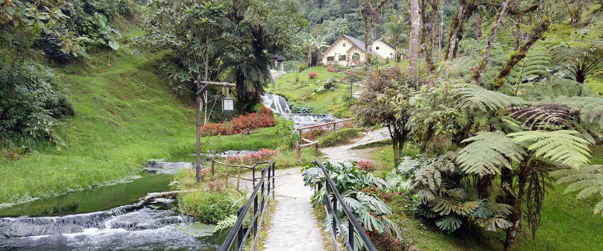 A pathway leading to a waterfall surrounded by lush greenery and ferns.