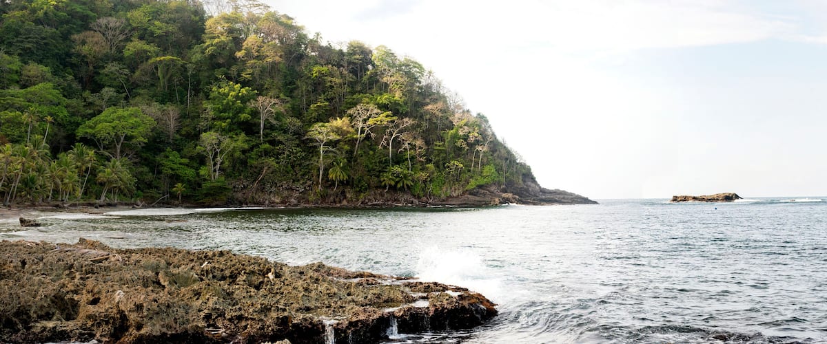 A rocky shoreline with dense forest and a distant island.