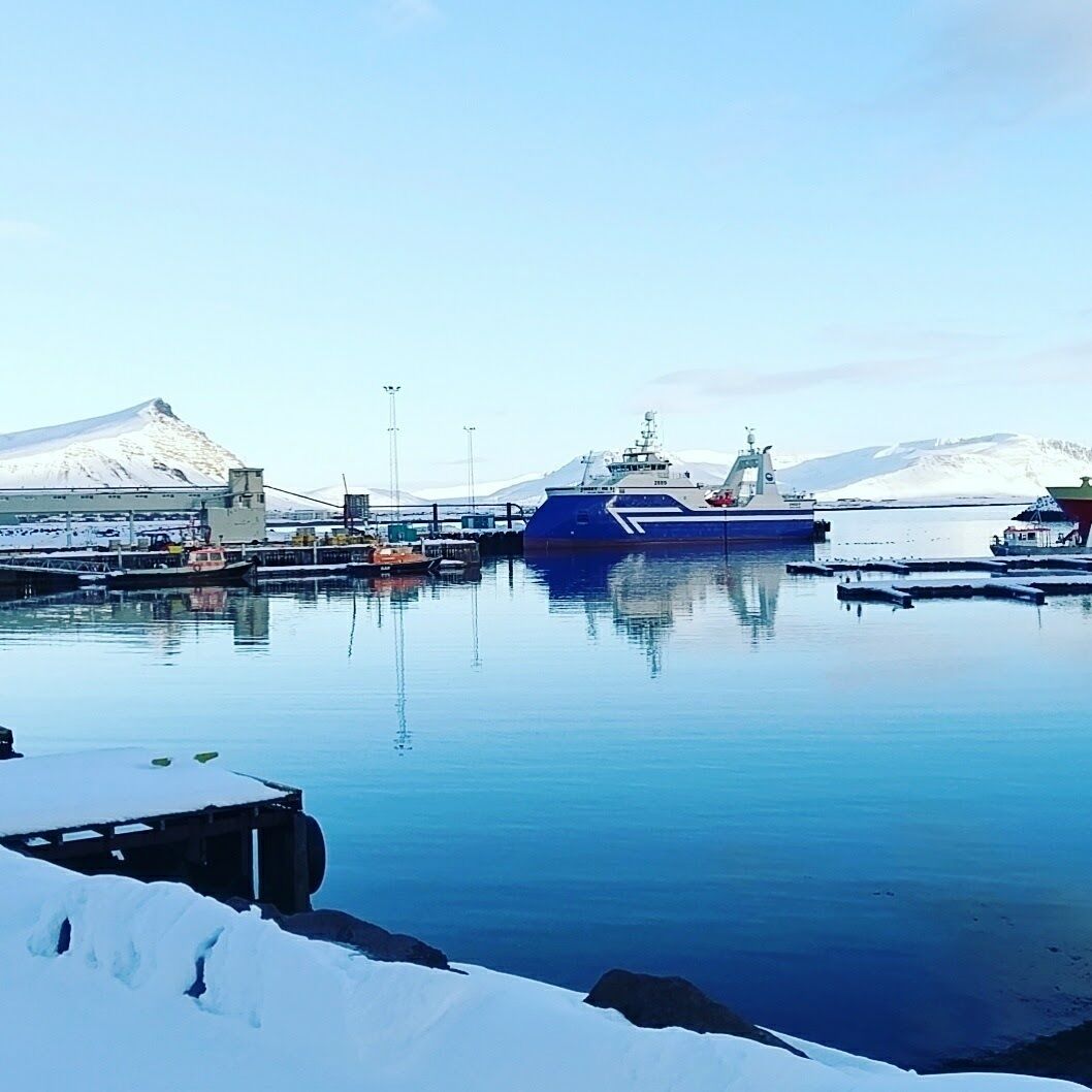 Iceland impressions.