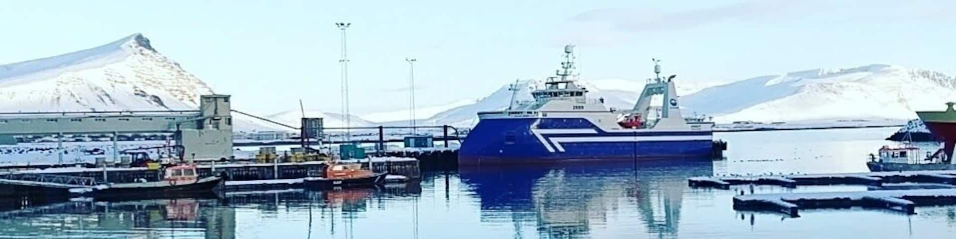 Iceland impressions.