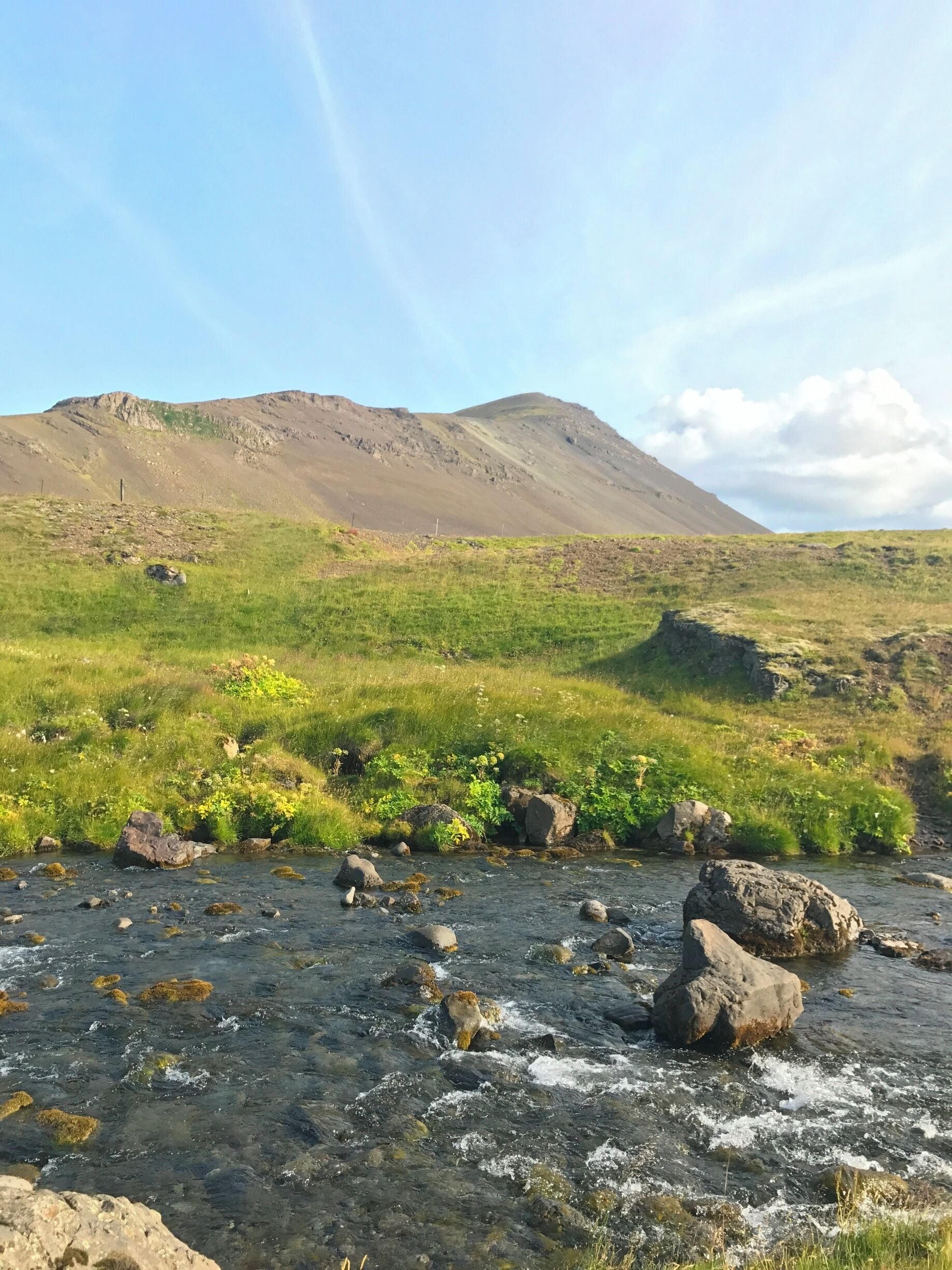Road side beauty #AquaTrove