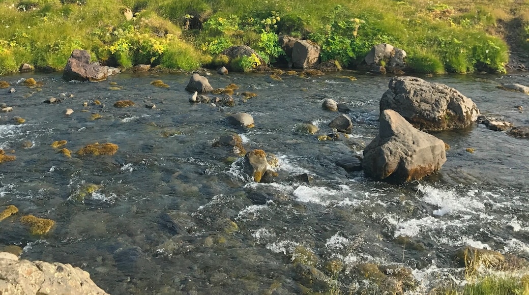 Road side beauty #AquaTrove