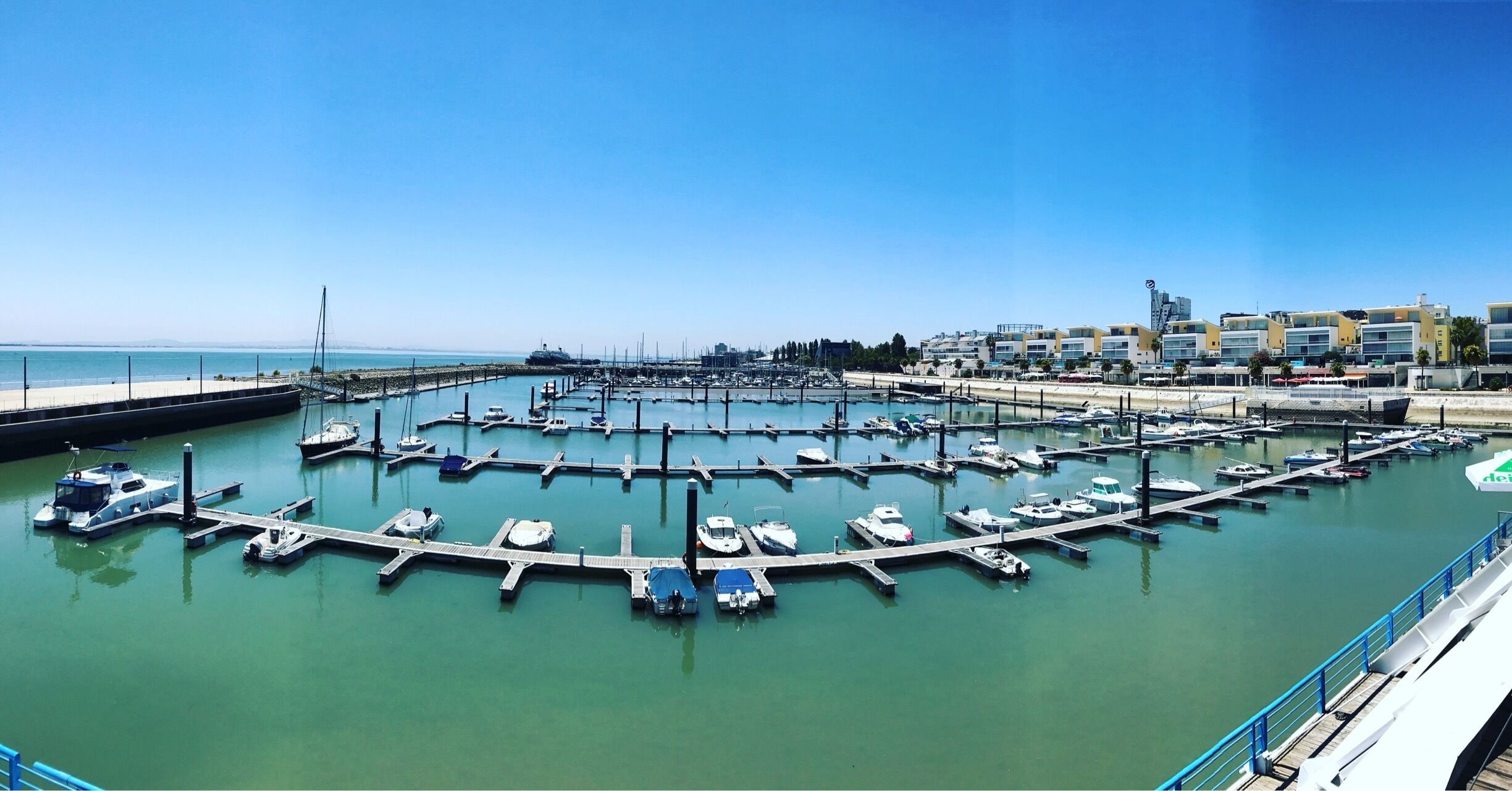 Great lunch view and great seafood. I enjoyed the octopus. 