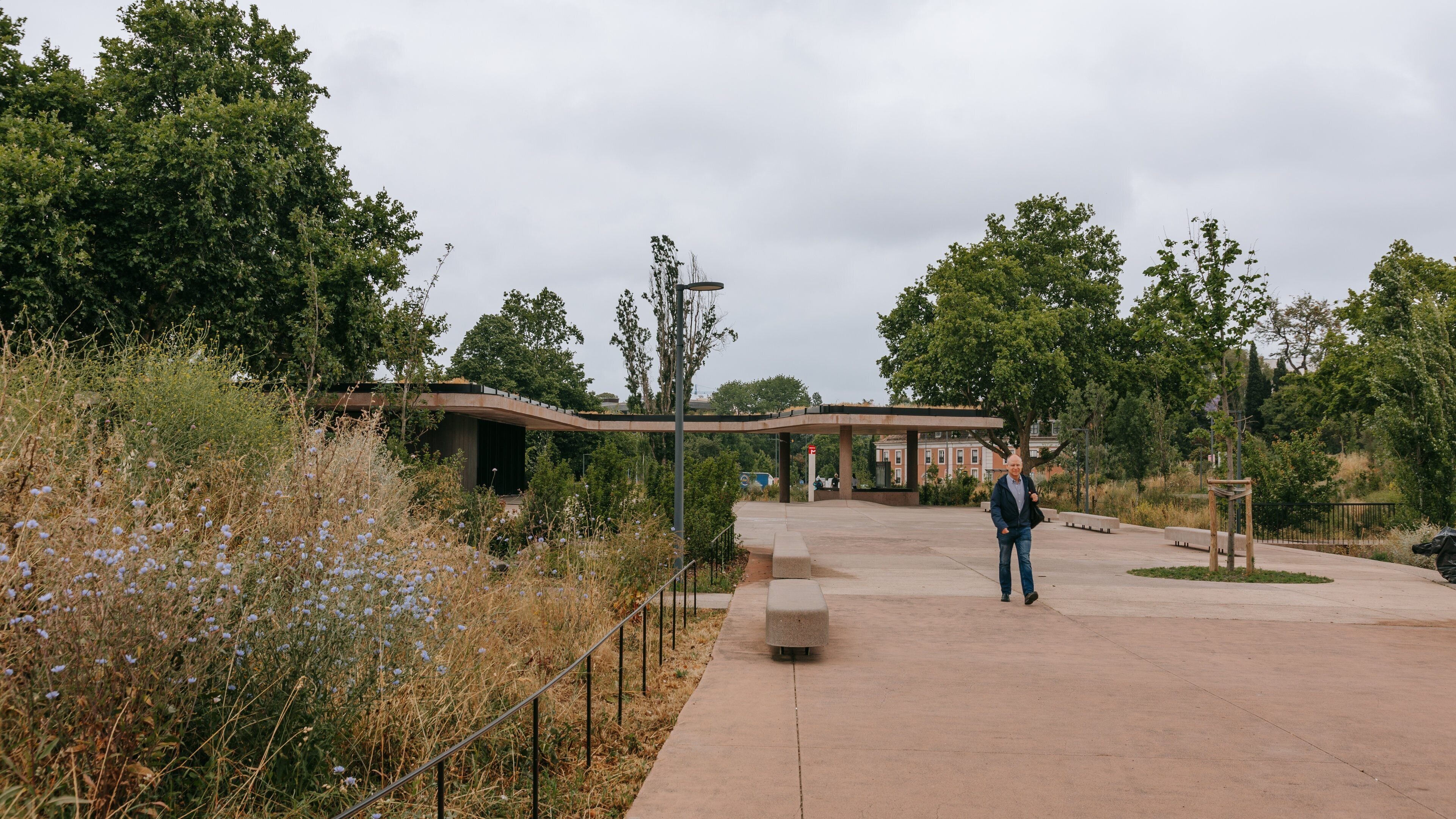Sete Rios featuring wildflowers and a park as well as an individual male