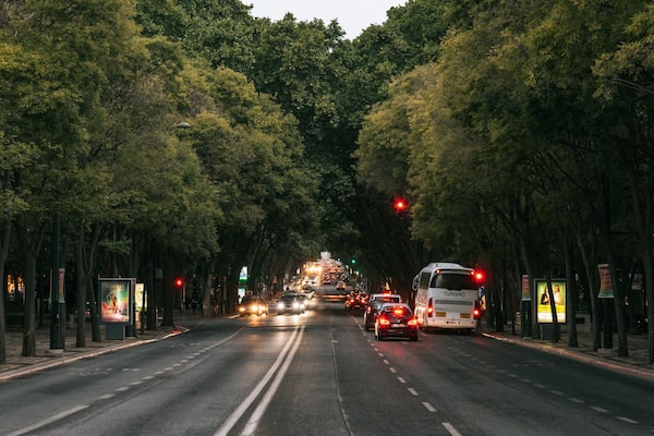 Une rue urbaine bordée d’arbres, où circulent des véhicules, dont un autobus, et où les panneaux de signalisation sont éclairés.
