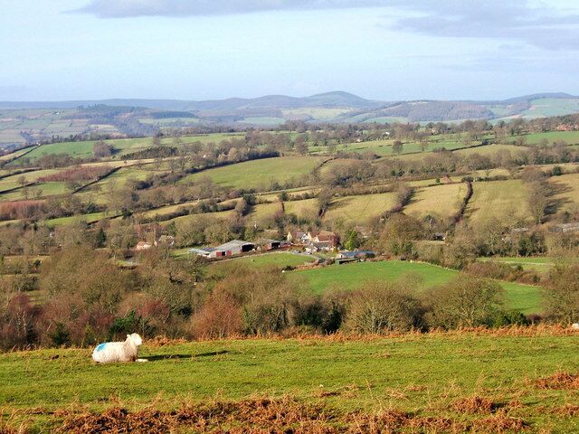 Shropshire countryside seen from Clee Liberty Common On a rare Winter's day, when there is sunshine and no mist, the beautiful Shropshire countryside can be seen in this view taken from a bridleway on the common. The ubiquitous Shropshire sheep takes its rightful place in the scene as the county remains a stronghold of the sheep farming industry.