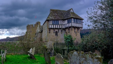 Stokesat Castle, Craven Arms, UK