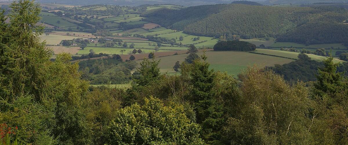 Rolling hills, dense forests, and a distant village.