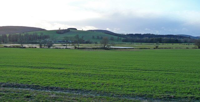 The Kemp valley View west from the B4385 towards Walcot Hill with the trees on top, and Clunton Hill, to the left and behind.