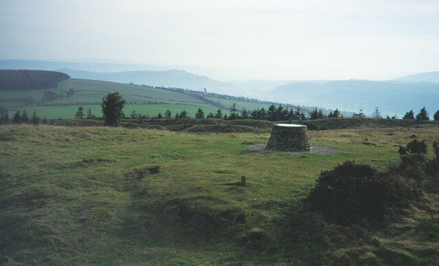 Bury Ditches summit. In the midst of a hill fort surrounded by forest. This was all planted until the late 1970's when the fort was 'liberated'.