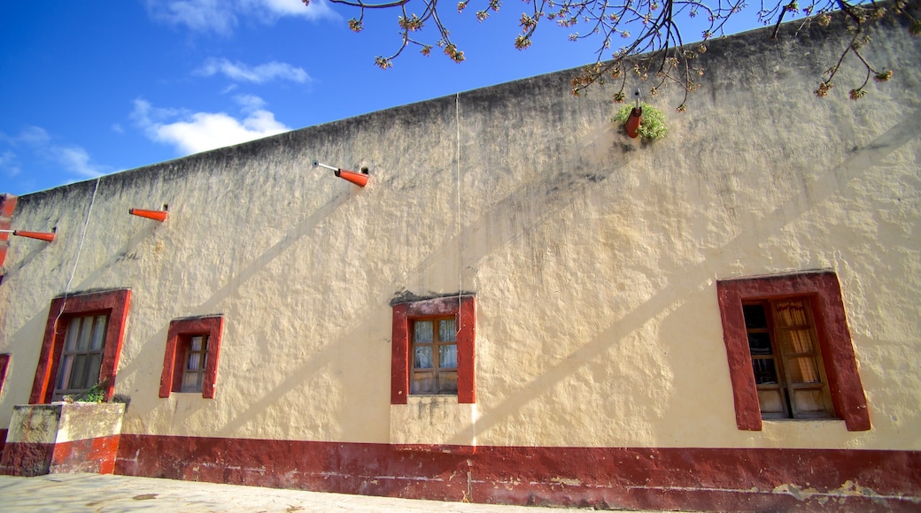 Jalpan de Serra showing street scenes and a house