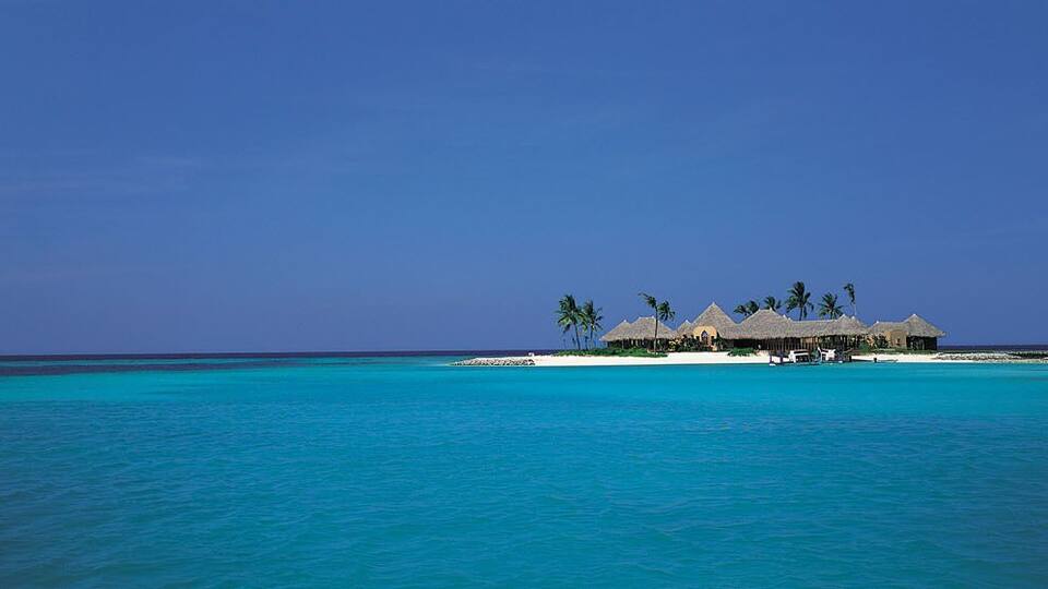 A beach resort with overwater bungalows and palm trees.