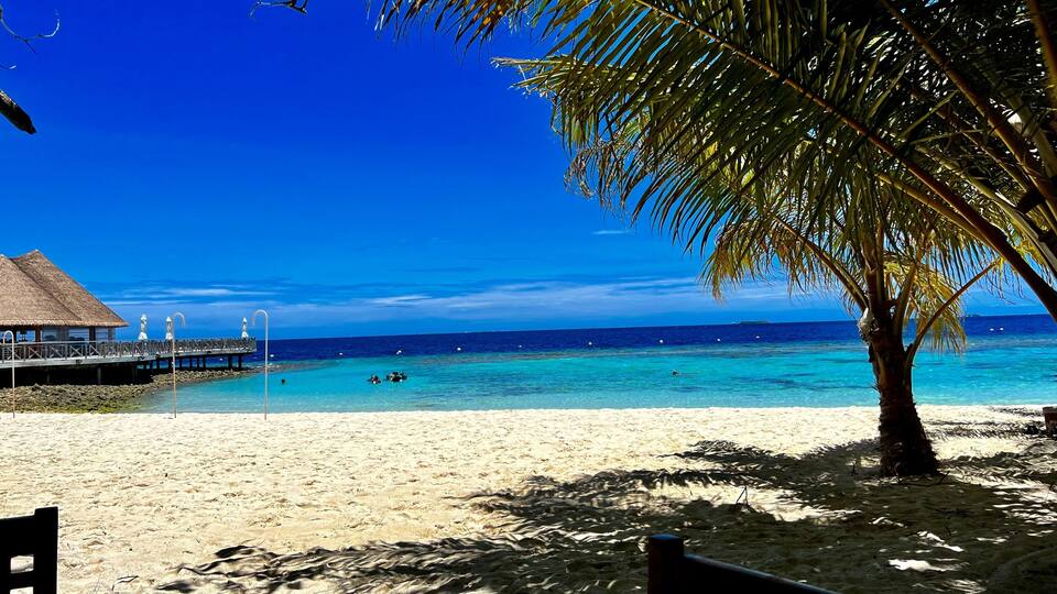 A beach with clear turquoise water, a thatched-roof structure, and a palm tree.