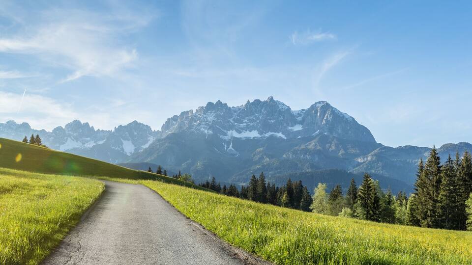 A mountain road winding through a grassy landscape with a backdrop of snow-capped peaks and a clear sky.