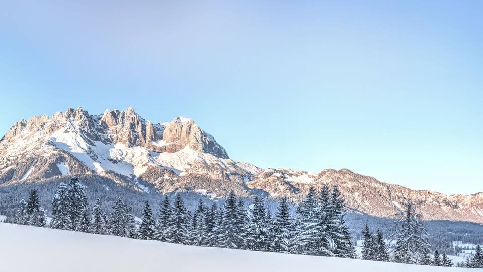 A snow-covered mountain range with a prominent rocky peak and evergreen trees.