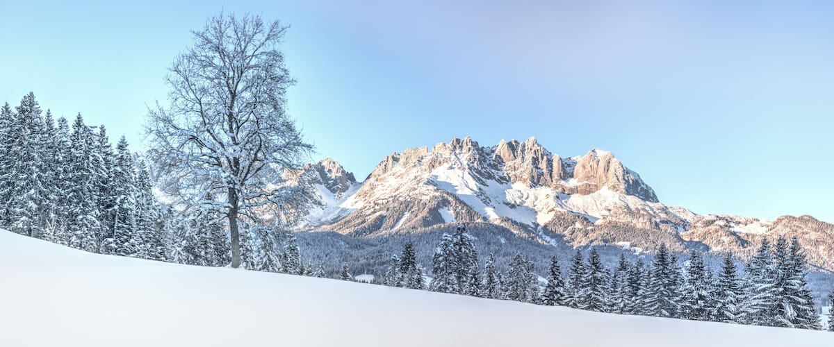 A snow-covered mountain range with a prominent rocky peak and evergreen trees.