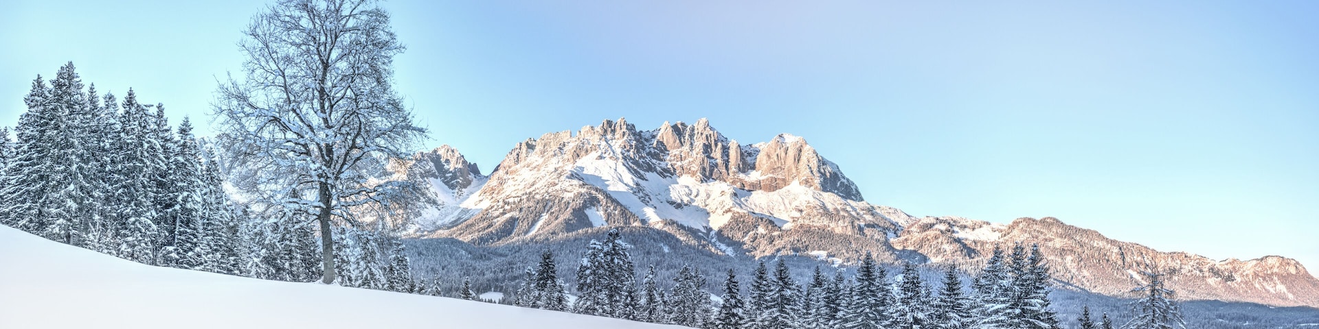A snow-covered mountain range with a prominent rocky peak and evergreen trees.