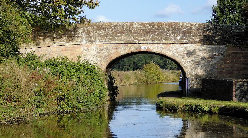 Photograph of Bridge No. 48 (Park Heath Bridge) over the Shropshire Union Canal, Shropshire, England