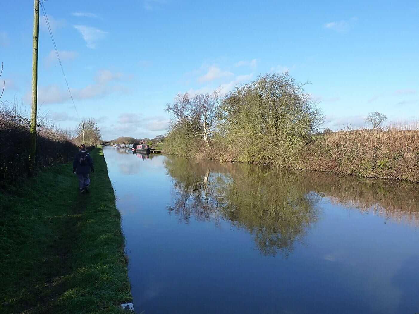 Along the towpath near Ellerton Wood Farm