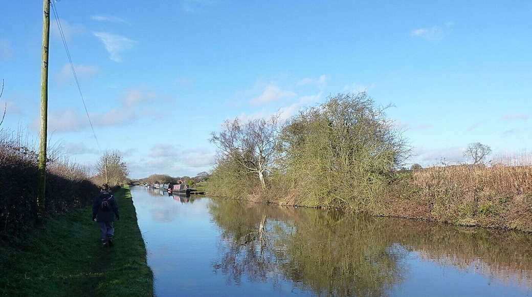 Along the towpath near Ellerton Wood Farm