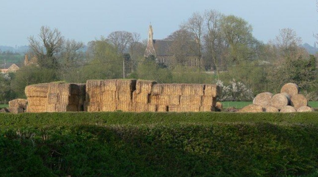 View across farmland to St Mary Magdalene parish church, Kilby, Leicestershire