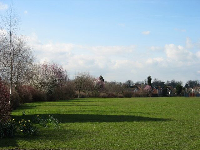 Un campo cubierto de hierba con árboles y casas al fondo.