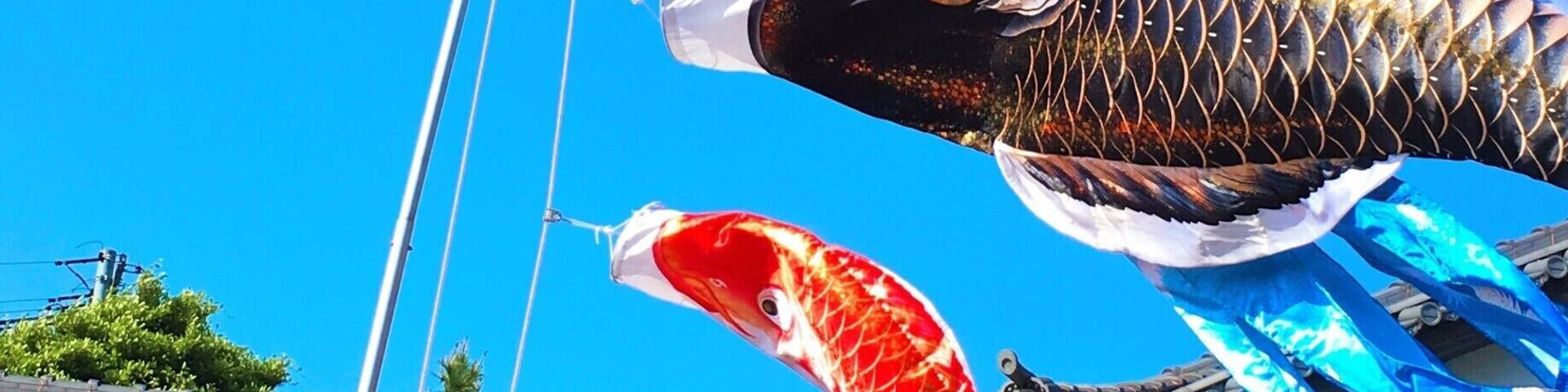 Children's Day in Japan. Colorful fish streamers are everywhere and there's always at least one festival to visit. #blue