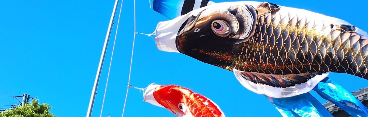 Children's Day in Japan. Colorful fish streamers are everywhere and there's always at least one festival to visit.  #blue