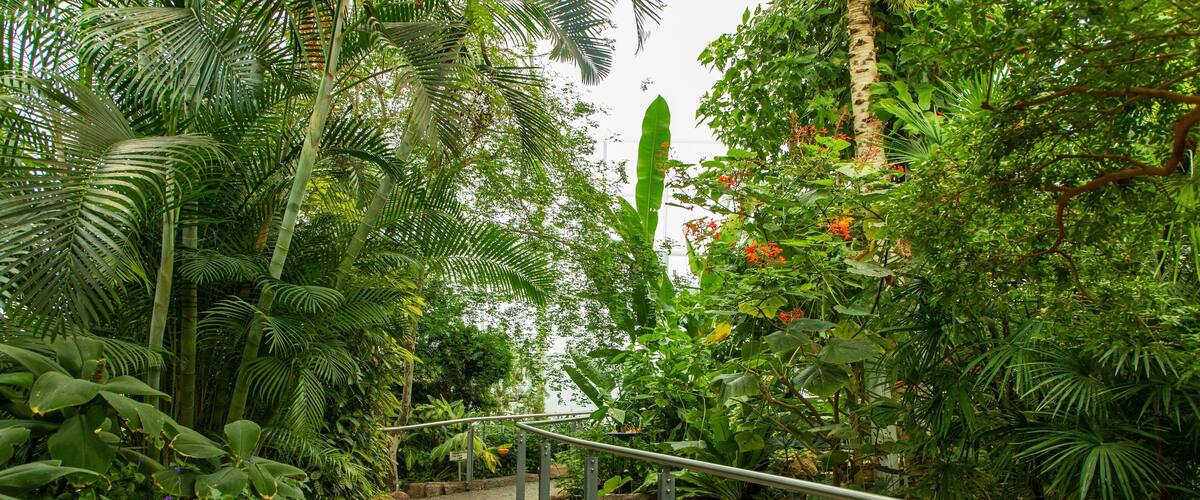 Butterfly Conservatory which includes a garden