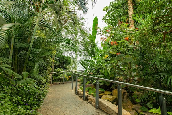 Butterfly Conservatory which includes a garden