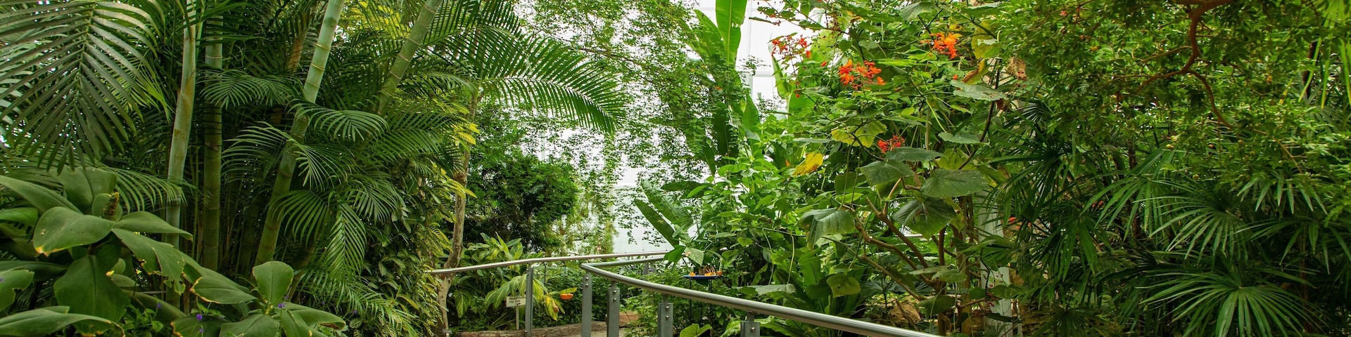 Butterfly Conservatory which includes a garden