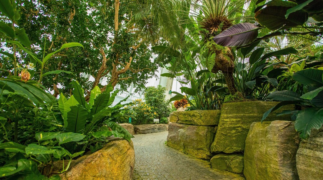 Butterfly Conservatory which includes a park