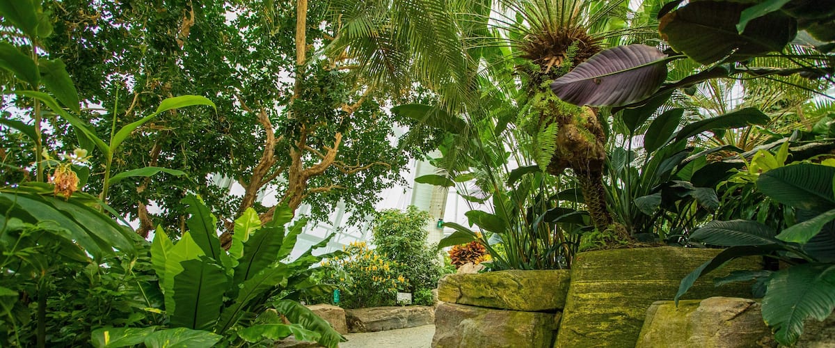 Butterfly Conservatory which includes a park