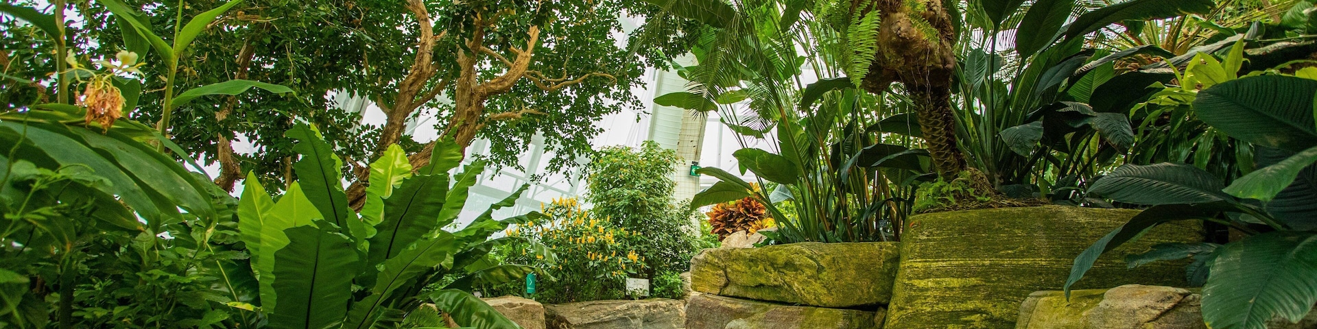 Butterfly Conservatory which includes a park