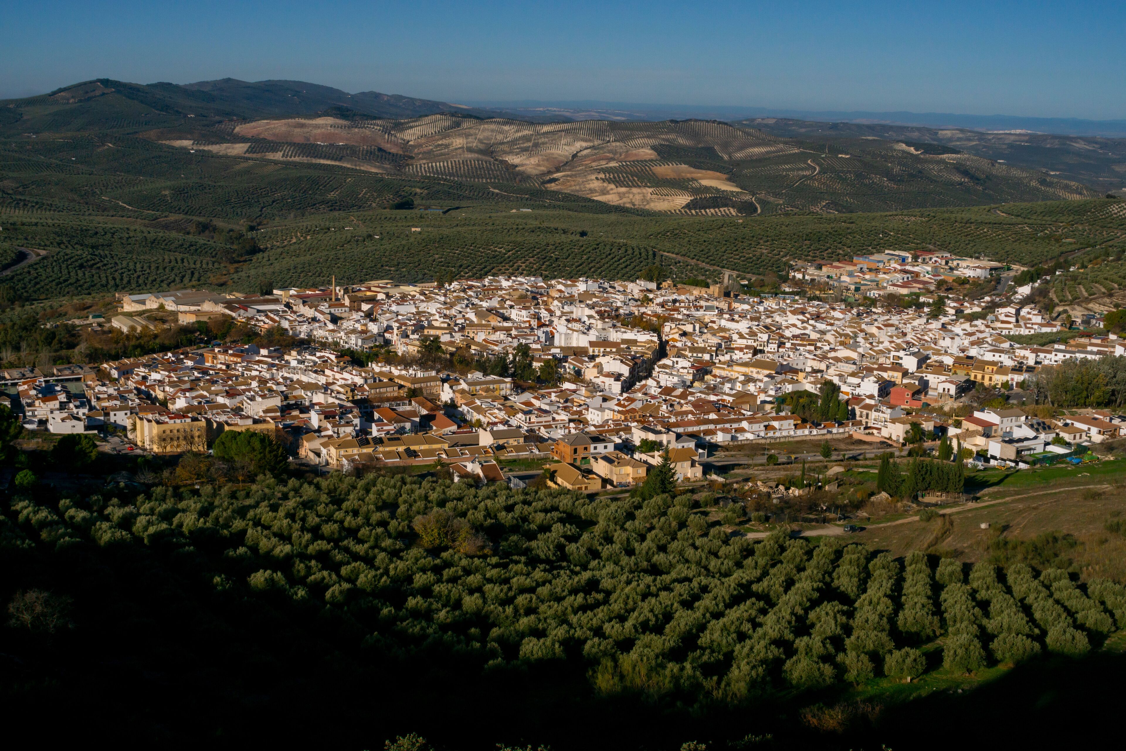 An aerial view of a town nestled in a valley with terraced olive groves and rolling hills in the background.