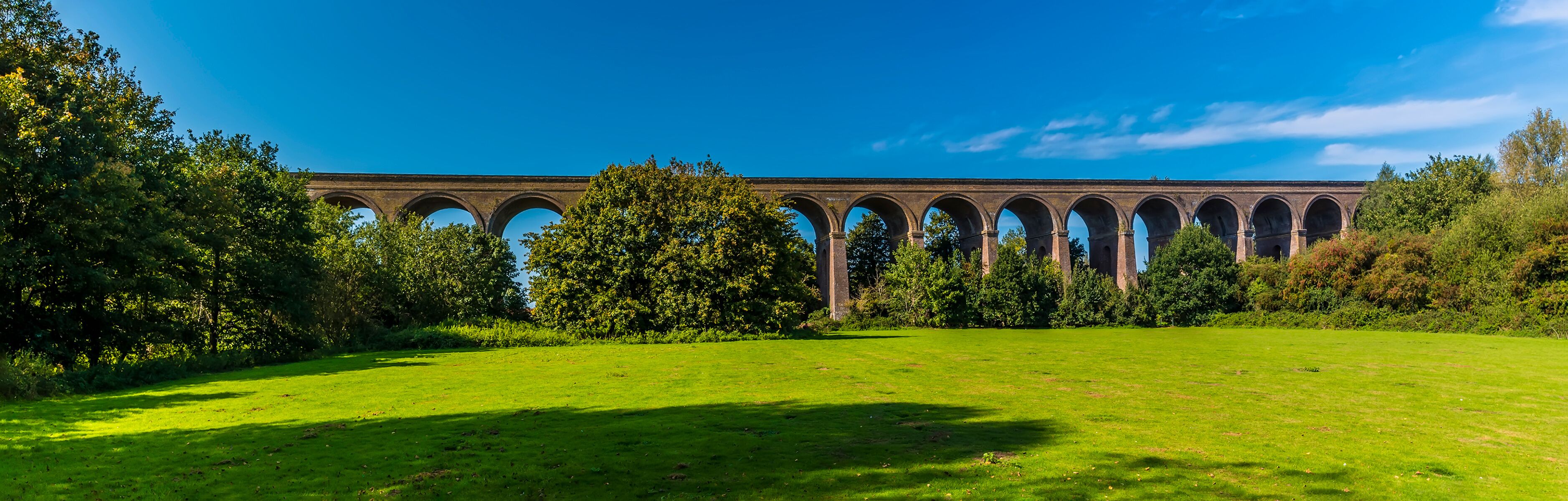 A viaduct with multiple arches, surrounded by lush green grass and trees.