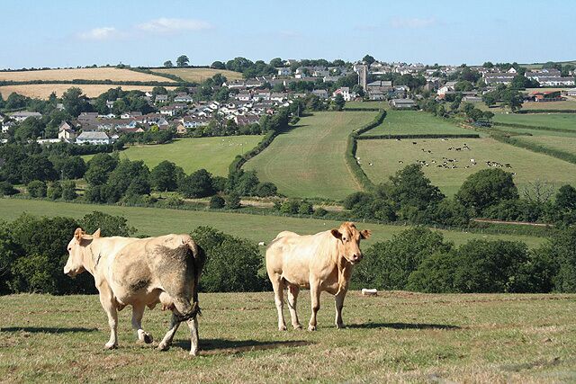 Two cows on a grassy hill with a town in the background.