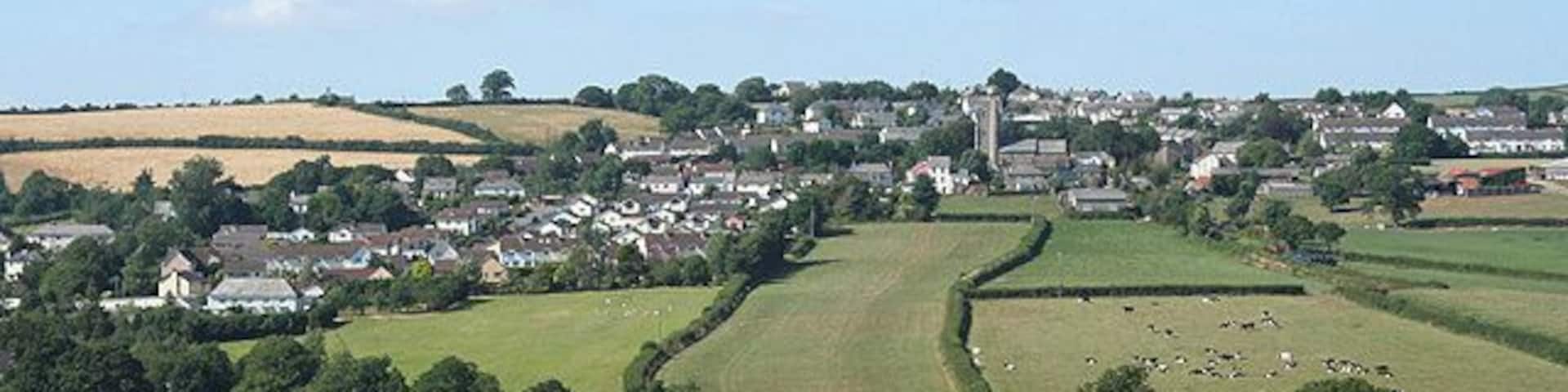 Two cows on a grassy hill with a town in the background.