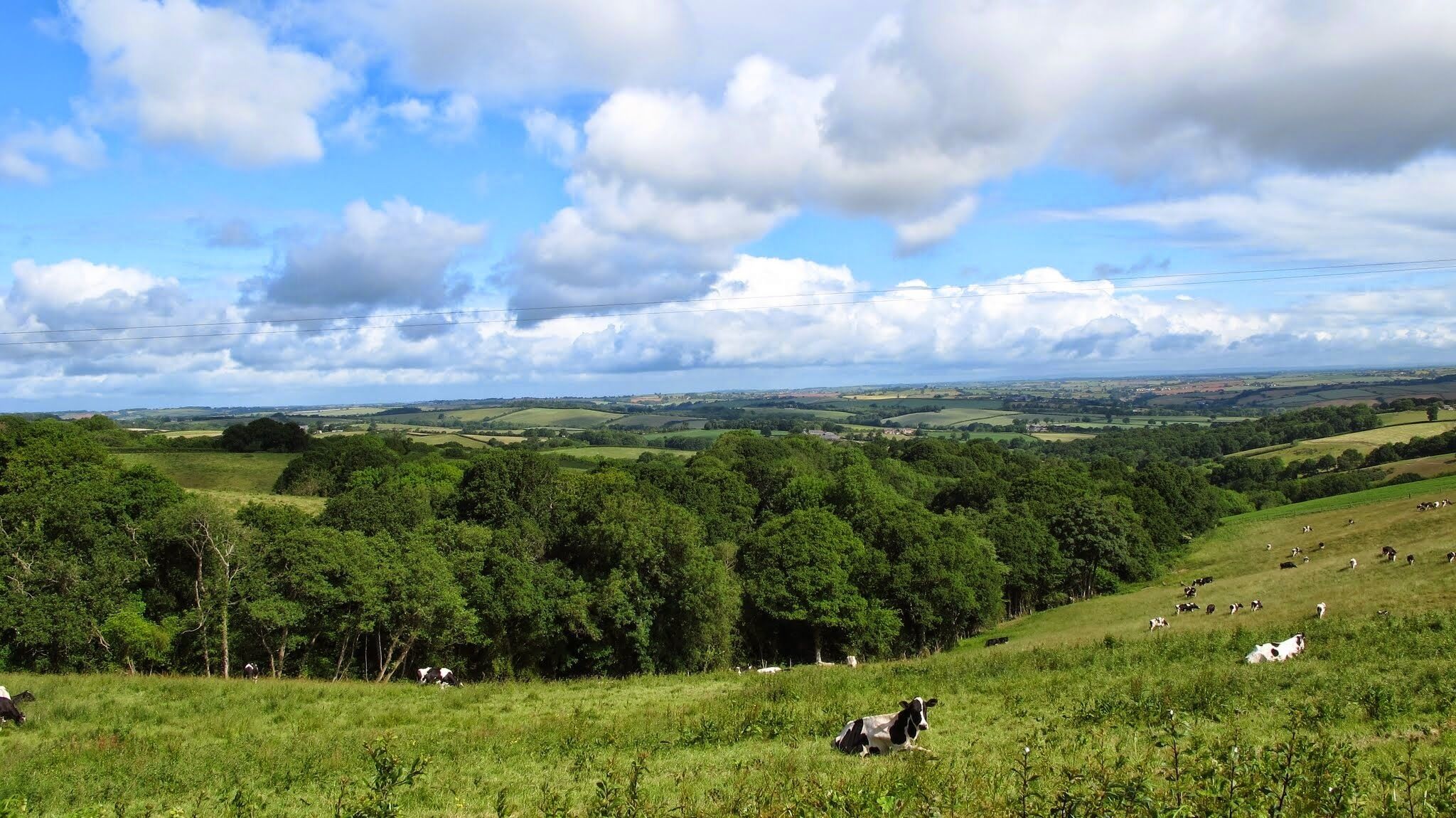 Crediton Hamlets, UK