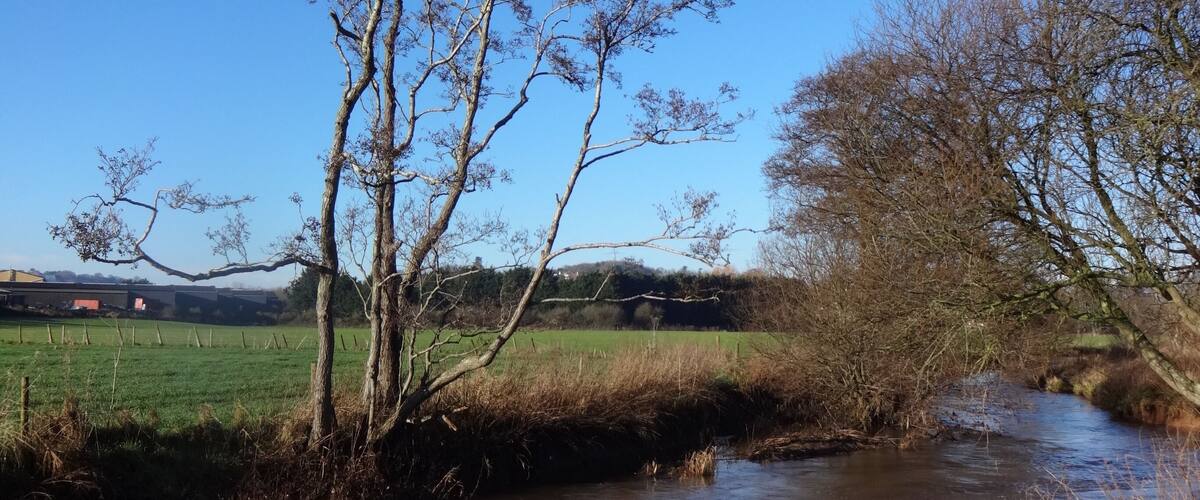 A river with trees and a field in the background.