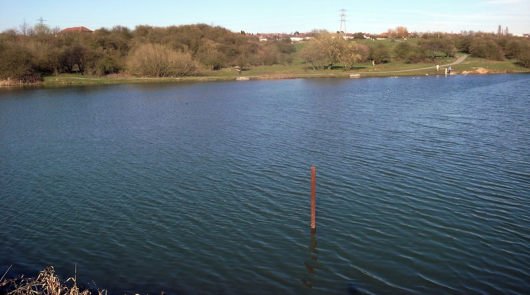 Middle Pool, the middle of the three Fens Pools built to collect and feed water to the Stourbridge Canal in England.