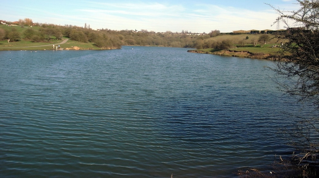 Middle Pool, the middle of the three Fens Pools built to collect and feed water to the Stourbridge Canal in England.