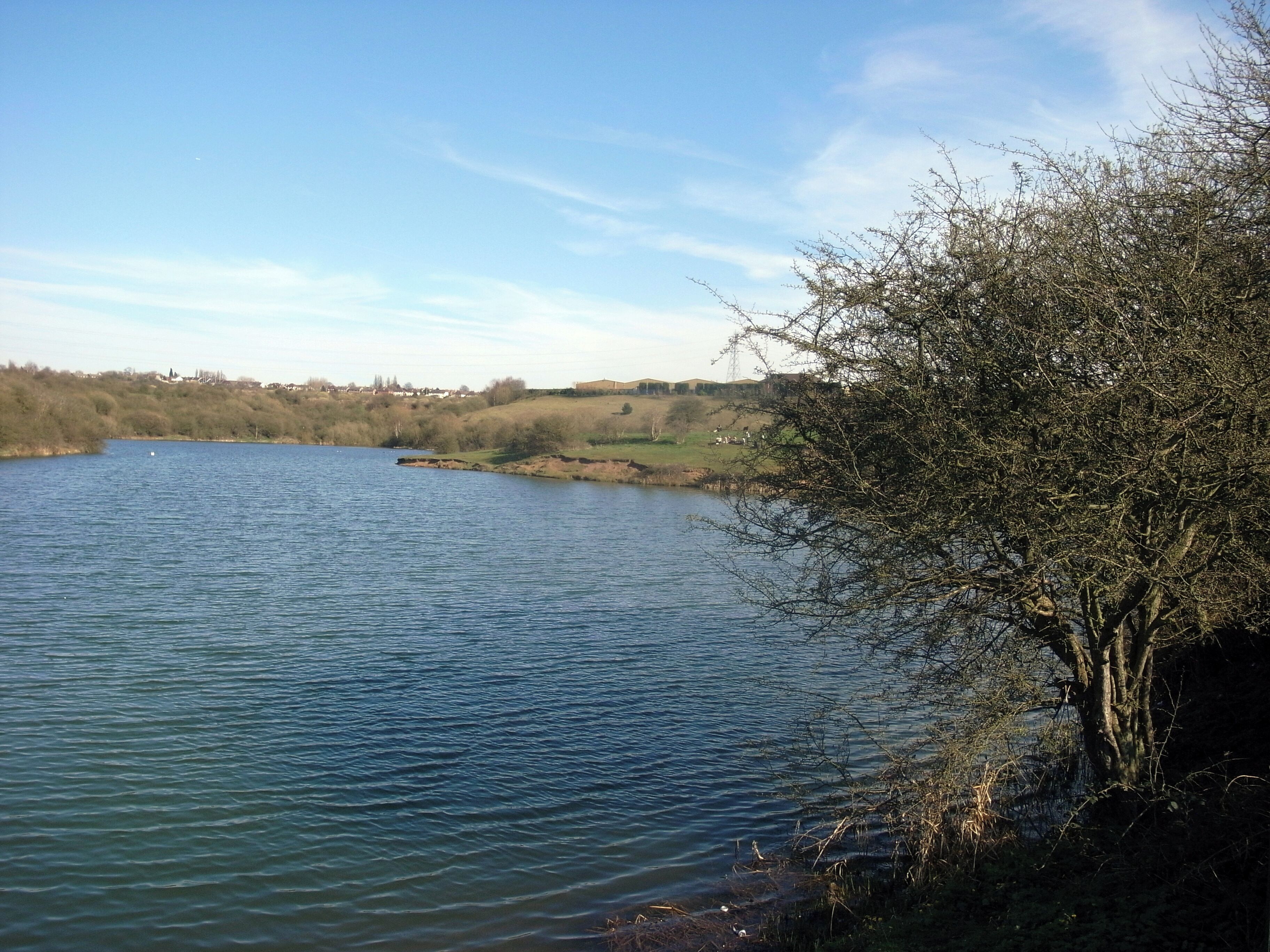 Middle Pool, the middle of the three Fens Pools built to collect and feed water to the Stourbridge Canal in England.
