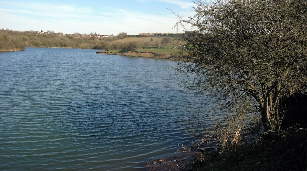 Middle Pool, the middle of the three Fens Pools built to collect and feed water to the Stourbridge Canal in England.