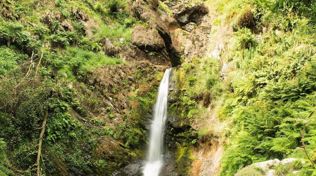 Bottom tier of Pistyll Rhaeadr waterfall, know as one of the seven wonders of Wales. It’s a must visit if your in the area. It’s pure bliss and hypnotic, you will leave relaxed and energetic.
Access is easy via satnav, the road leading to the waterfall is a country road so narrow and bumpy in places, take your time.