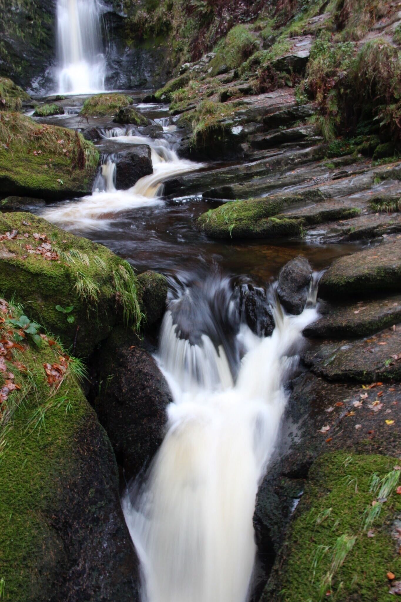 Pistyll Rhaeadr, North Wales
The tallest single drop waterfall in England #Wales #water #England #nationalpark #hiking #travel #landscape #nature #ruraldestination 