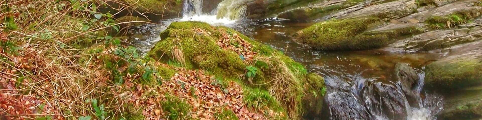 Enjoyed a walk here from Llanrhaiadr ym mochnant, really nice spot with a tea shop/cafe, and camping available