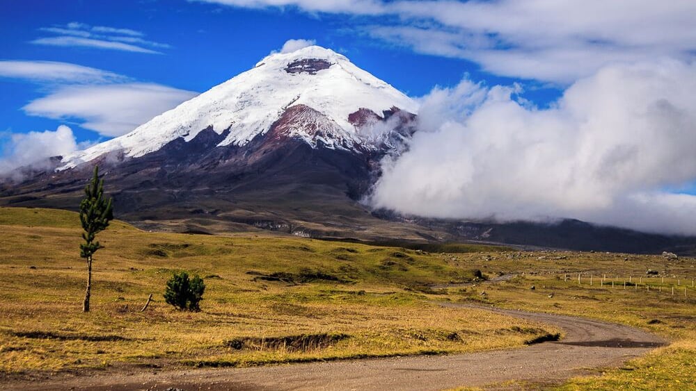 The Volcán is amazing!