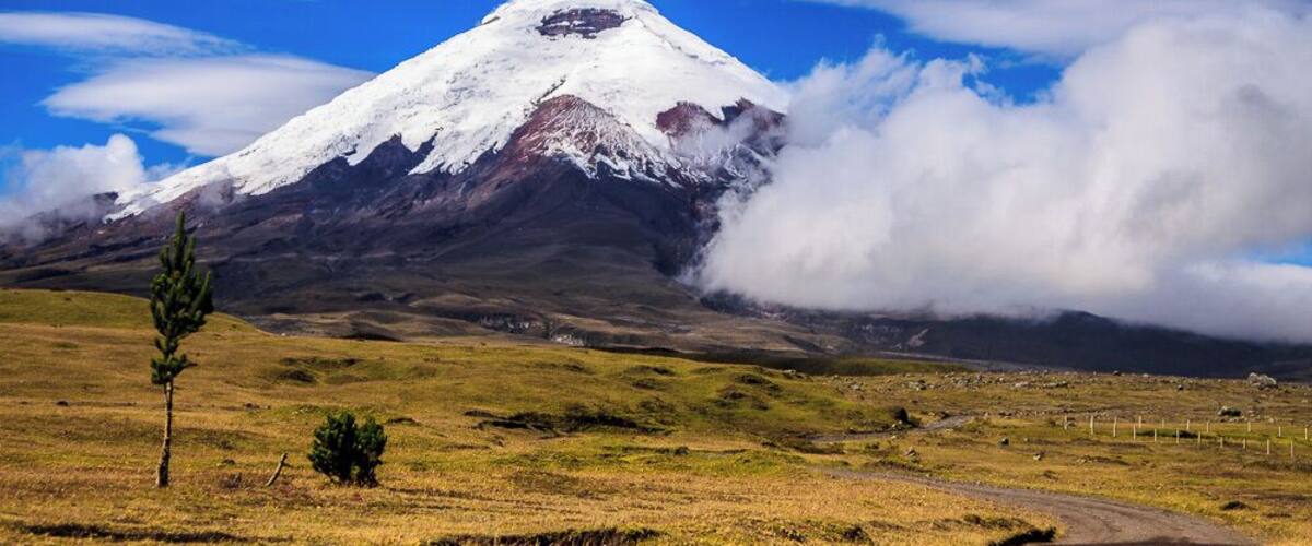The Volcán is amazing!