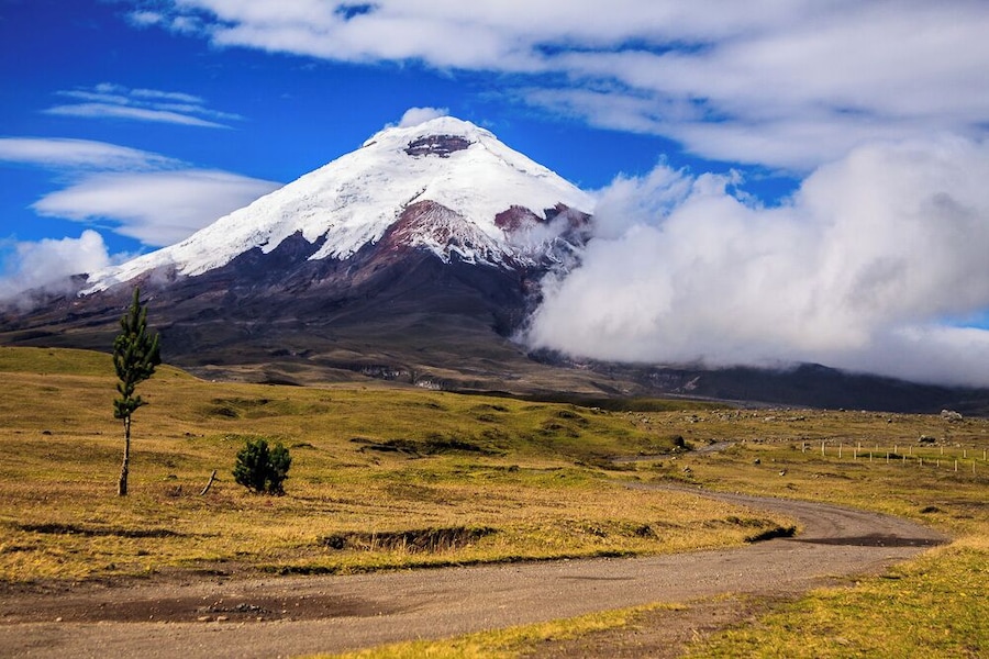 The Volcán is amazing!